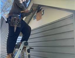 Best Siding Painting and Refinishing  in Hlsboro, IL